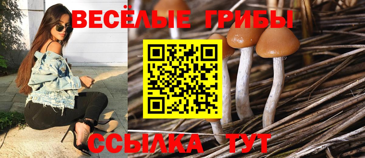 Псилоцибиновые грибы мухоморы  Галлюциногенные грибы Magic Shrooms  Кызыл  Вход с VPN 