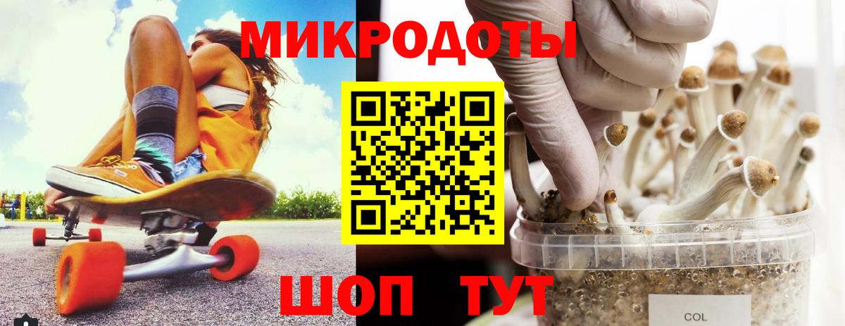 Псилоцибиновые грибы GOLDEN TEACHER Кызыл
